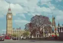 Big Ben over Parliament Square, with red double-decker buses on the road below