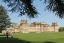 Blenheim Palace across a sunny lawn, framed by cedar branches