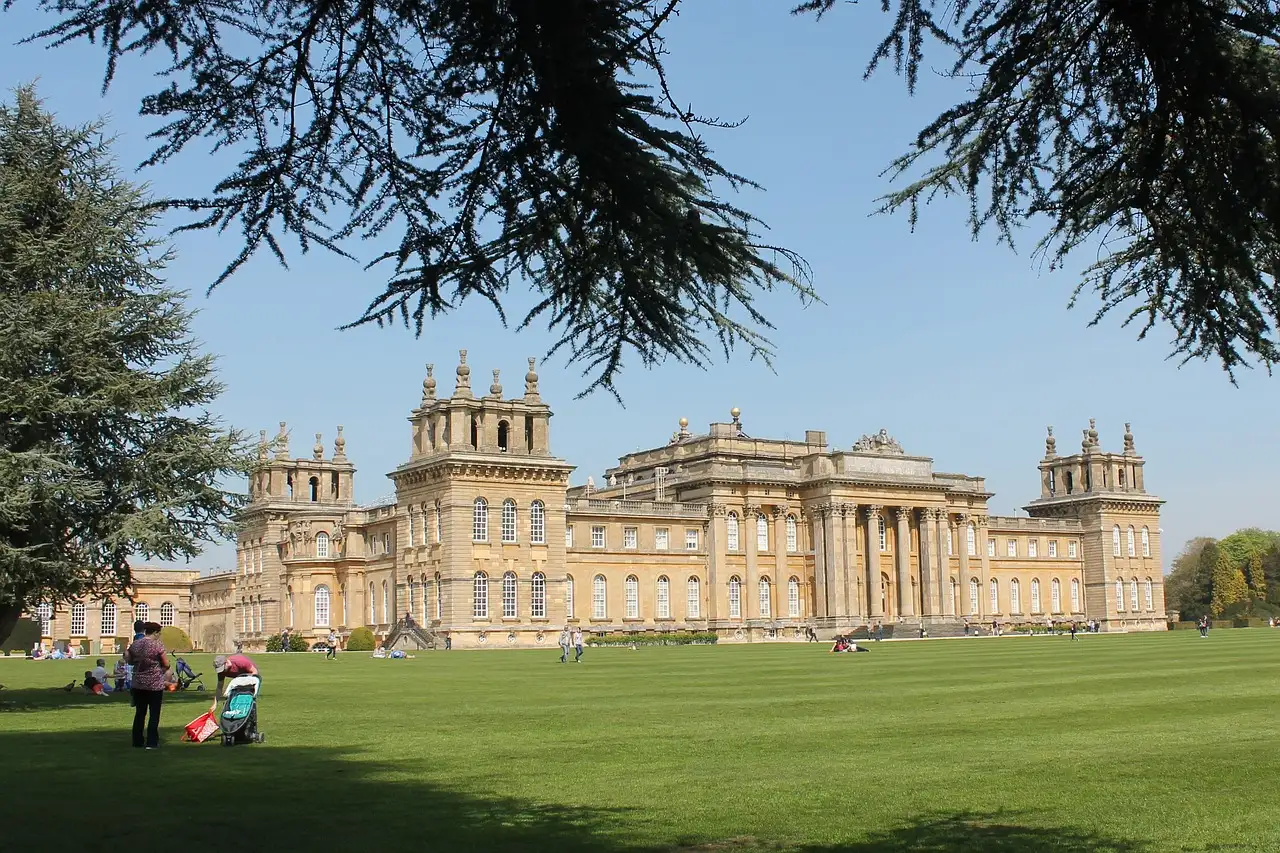 Blenheim Palace across a sunny lawn, framed by cedar branches