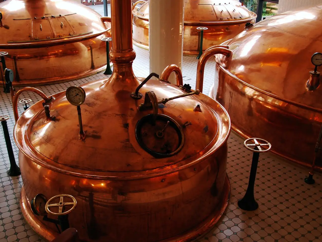 Copper brewing kettles in a brewery