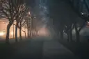 A tree-lined path in thick fog with street lamps glowing