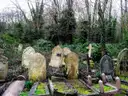 Old tilting headstones among ivy and bare trees in Highgate Cemetery
