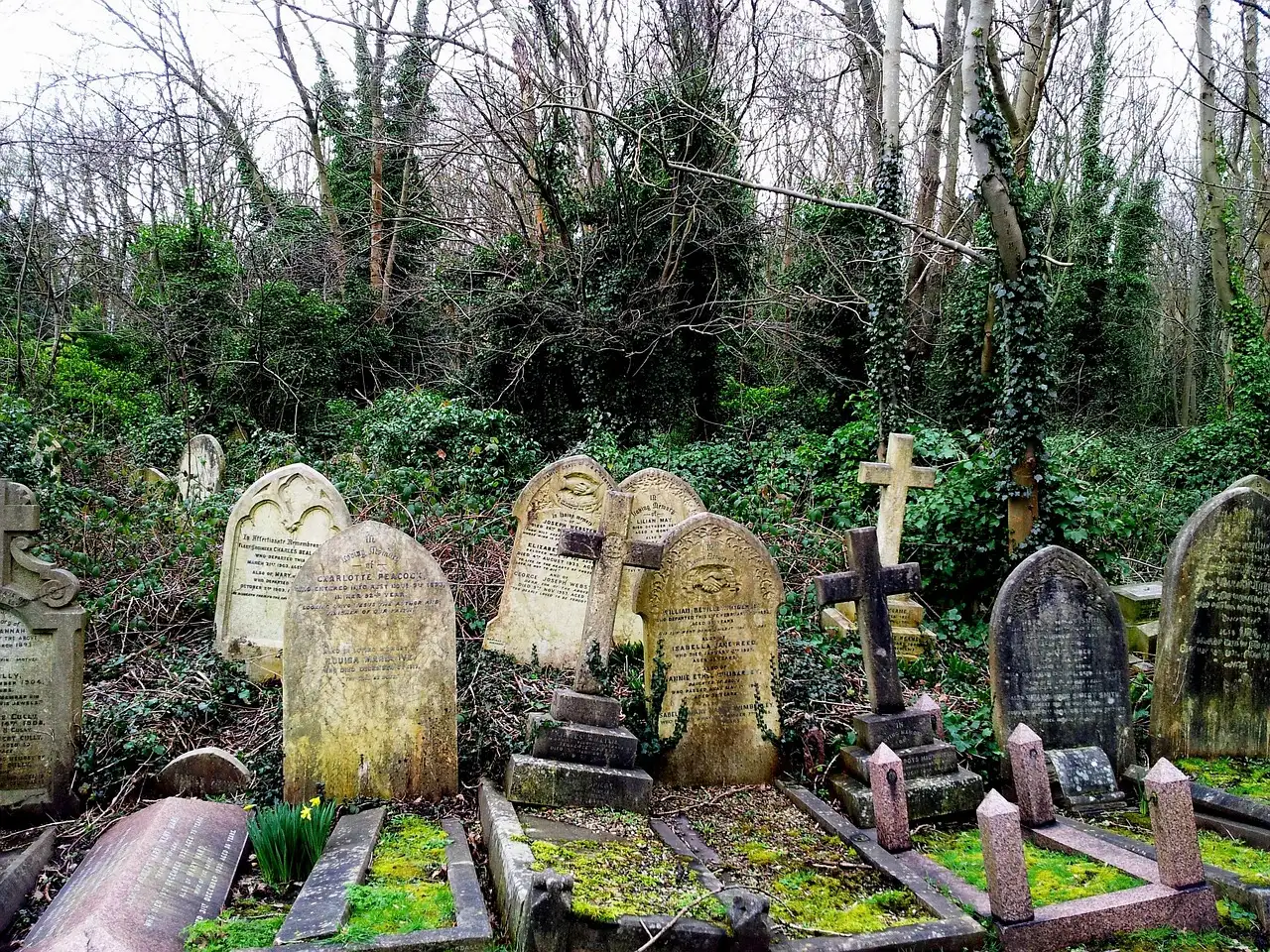 Old tilting headstones among ivy and bare trees in Highgate Cemetery