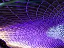 Curving steel lattice ceiling of King's Cross station lit in purple