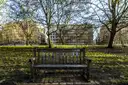 Wooden bench under trees in a London park
