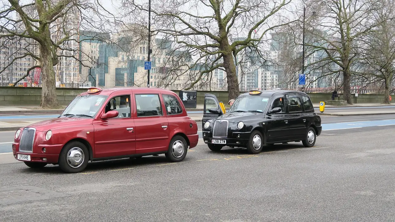 A red and a black London taxi on a road beside bare trees