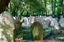 Weathered old headstones crowded together in an overgrown graveyard