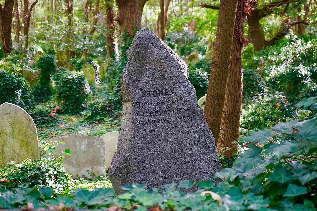 A rough memorial stone among ivy-covered graves in an overgrown cemetery