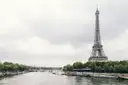 River Seine in Paris with the Eiffel Tower rising above the trees