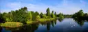 Serpentine lake in Hyde Park with swans and green trees