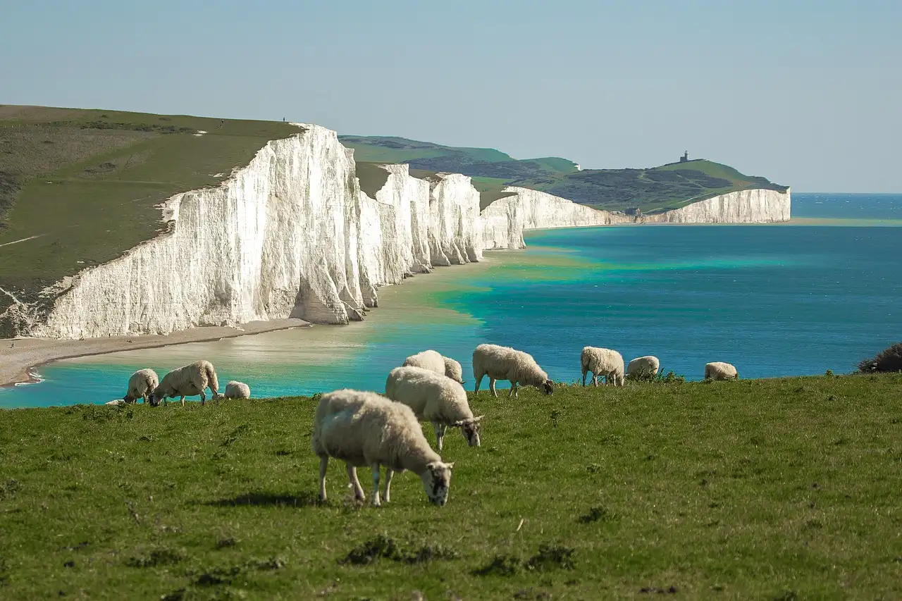 The white Seven Sisters cliffs above a turquoise sea, with sheep grazing in front