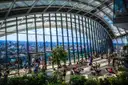 Inside the Sky Garden, plants under the curved glass roof with London below