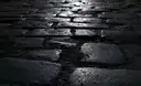 Wet cobblestones shining in the dark