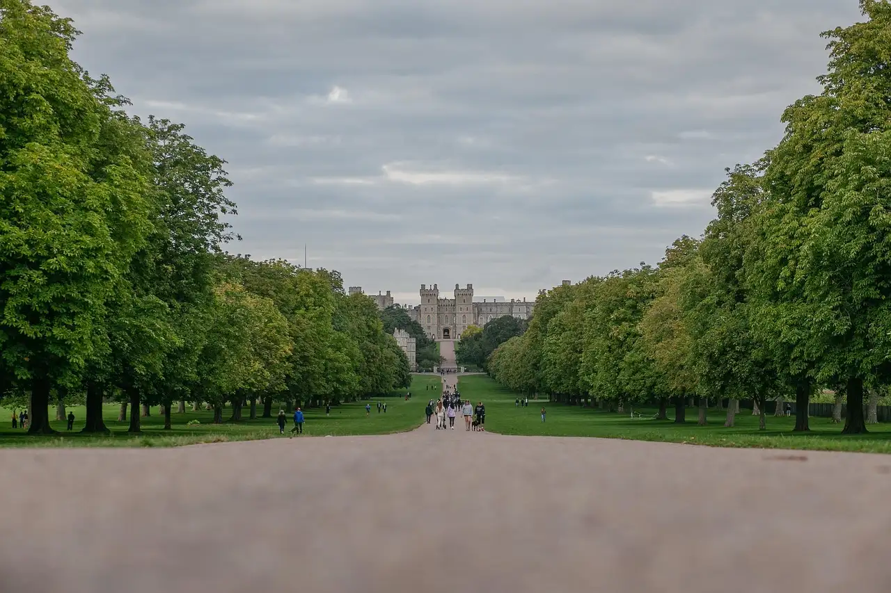 The tree-lined Long Walk leading to Windsor Castle