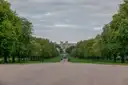The tree-lined Long Walk leading to Windsor Castle